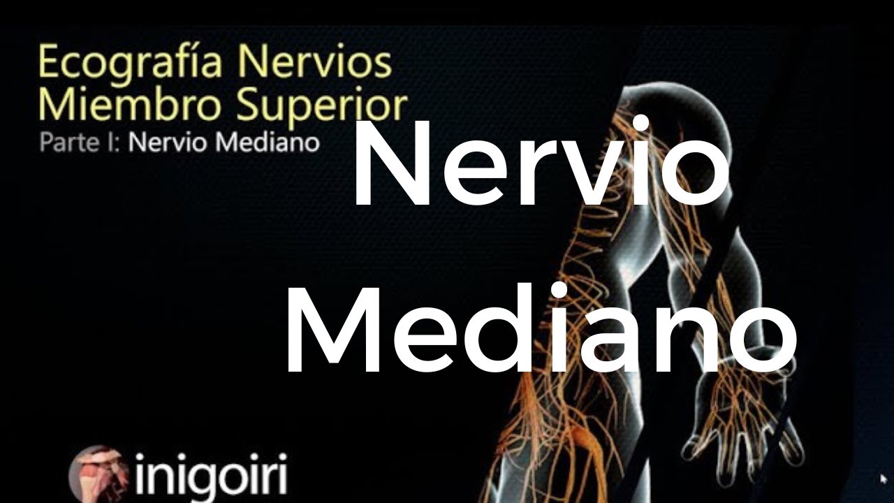 ECOGRAFÍA DEL NERVIO MEDIANO | Anatomía, Trayecto y Puntos de Compresión