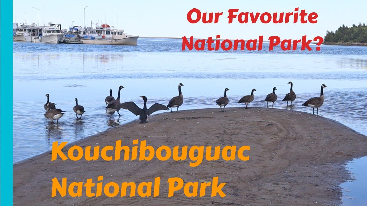 Camping 2020 - Ep. 6 | Kouchibouguac National Park | S. Kouchibouguac Campground | Callanders Beach