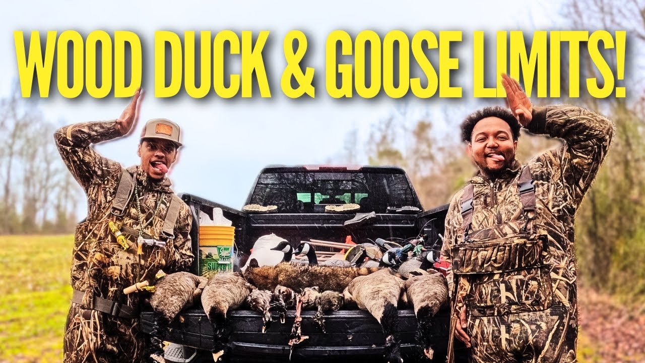 LIMITS & A MIXED BAG - Late season NC Duck Hunt
