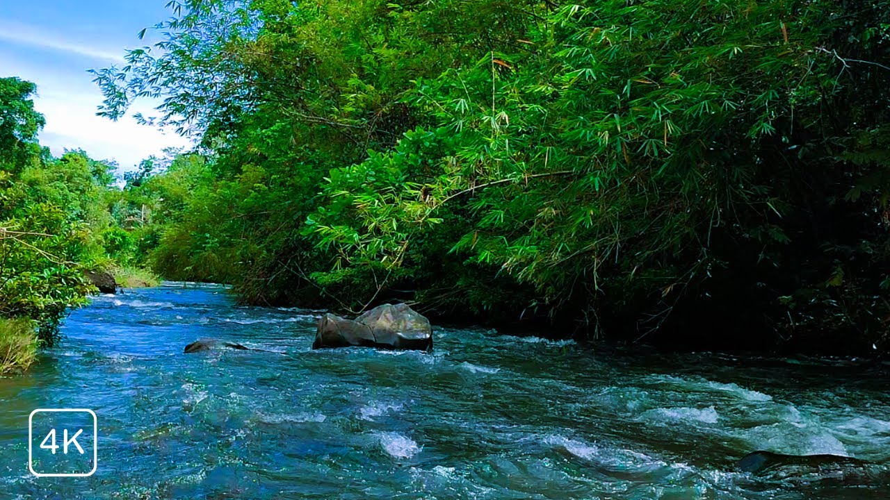 LIVE RIVER FLOW ASMR – CALMING NATURE SOUNDS FOR DEEP SLEEP, MEDITATION & FOCUS