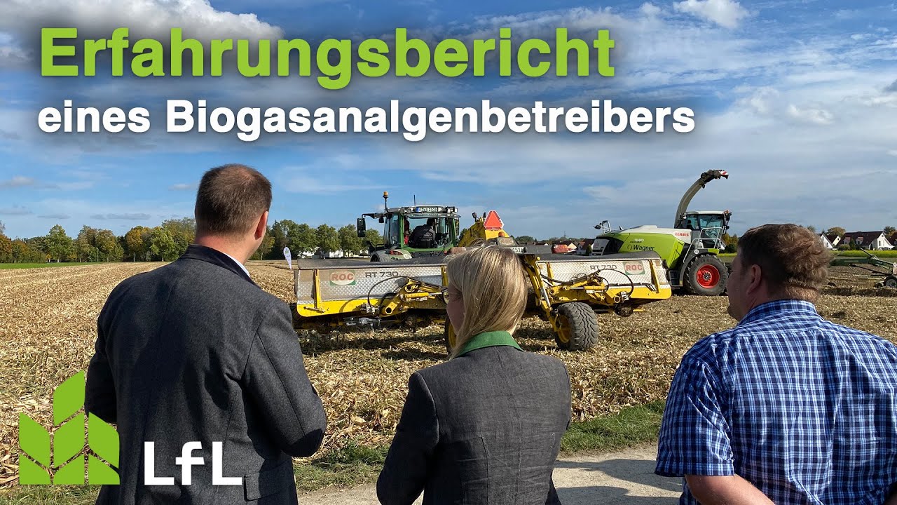 Vergärbarkeit von Körnermaisstroh: Erfahrungen eines Biogasanlagenbetreibers zur