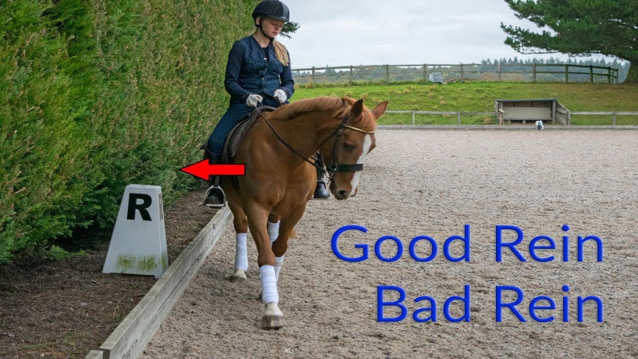 Improving Your Horse's Bad Rein