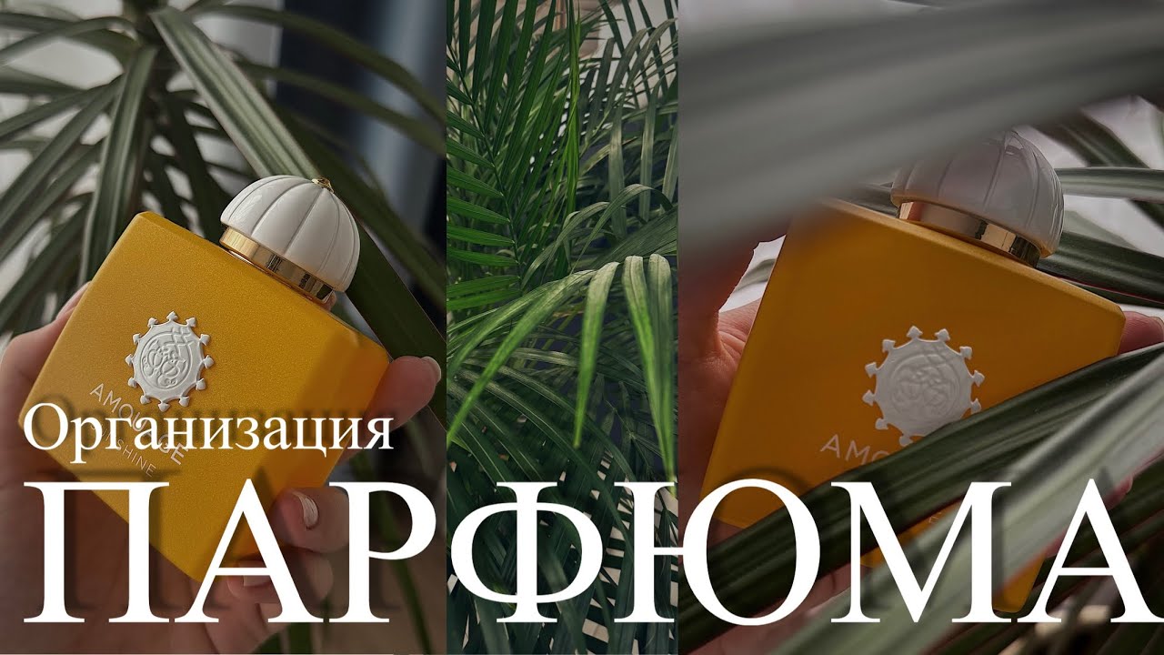 ОРГАНИЗАЦИЯ ПАРФЮМА /Болтаю и разбираю парфюмерный шкаф/ Миниатюры и отливанты/ Самые любимые аромат