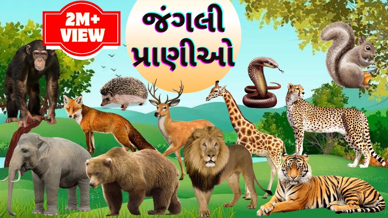 જંગલી પ્રાણીઓના નામ અને અવાજ | Wild Animals Name In Gujarati | Animals Name | પ્રાણીઓના નામ