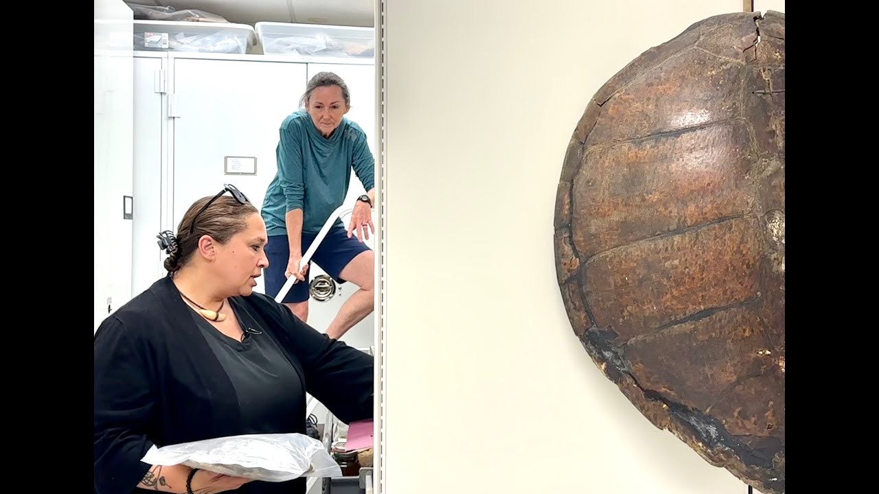 Courtney M. Leonard's BREACH at the University Museum of Contemporary Art / Documentary Film