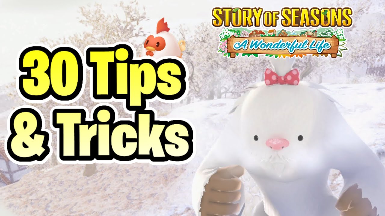 30+ Beginner Tips & Tricks You NEED To Know for Story of Seasons: A Wonderful Life!