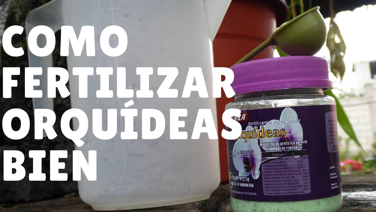 ¿Como fertilizar o abonar correctamente a las orquídeas? || Orquiplanet