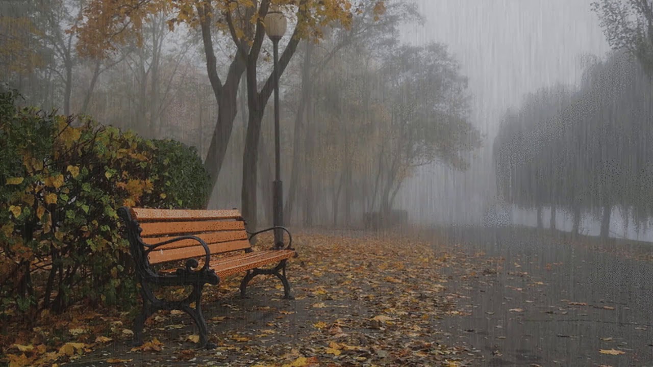 Relajante lluvia suena en un t&iacute;pico d&iacute;a de oto&ntilde;o con niebla * Sonido de la lluvia