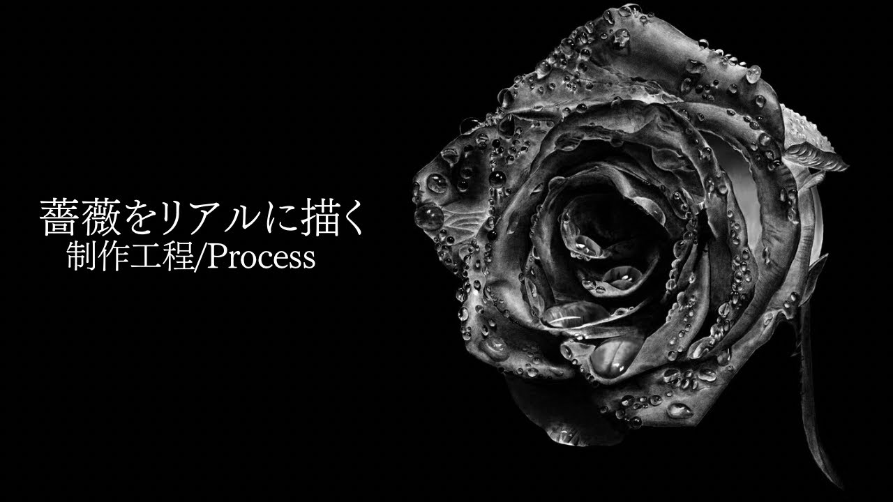 薔薇をリアルに描く/Drawing a realistic rose【ダイジェスト版】