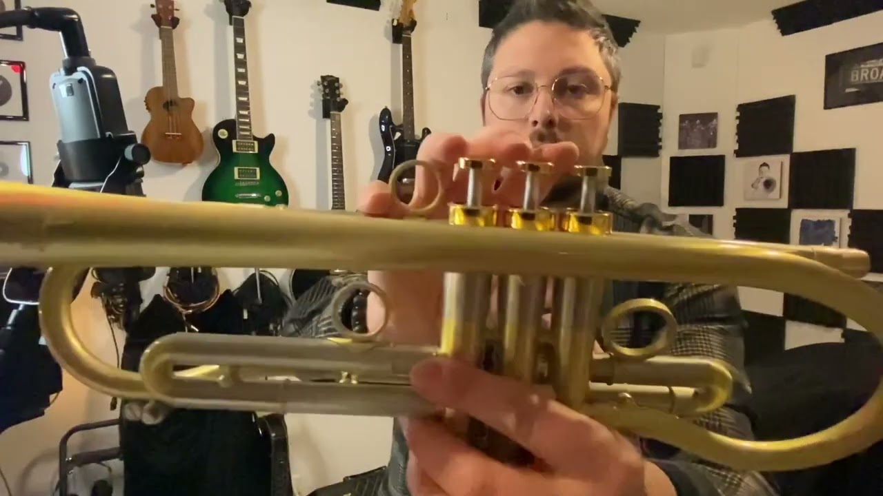 Review Aliexpress Trumpet - Forest