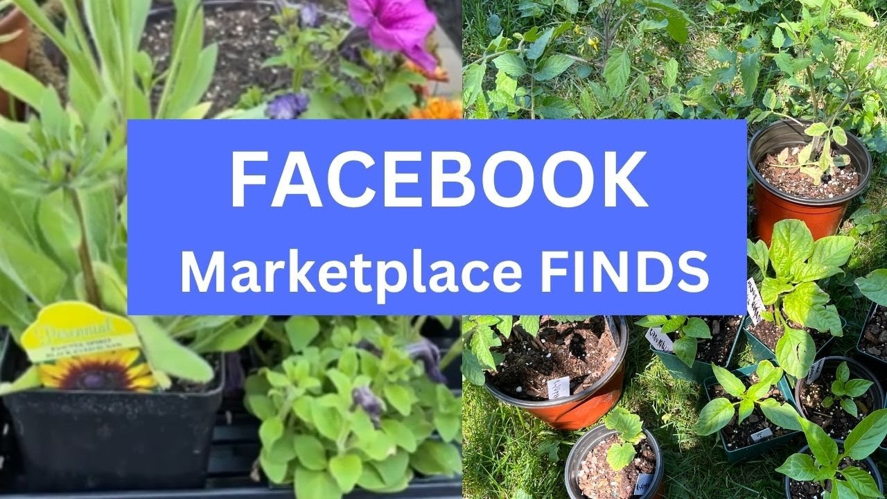 Look What I Found on FACEBOOK Marketplace| Budget-Friendly