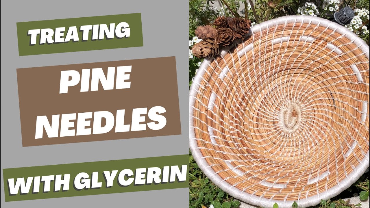 How to Treat Pine Needles with Glycerin | Step-by-Step Demo for Basket Making