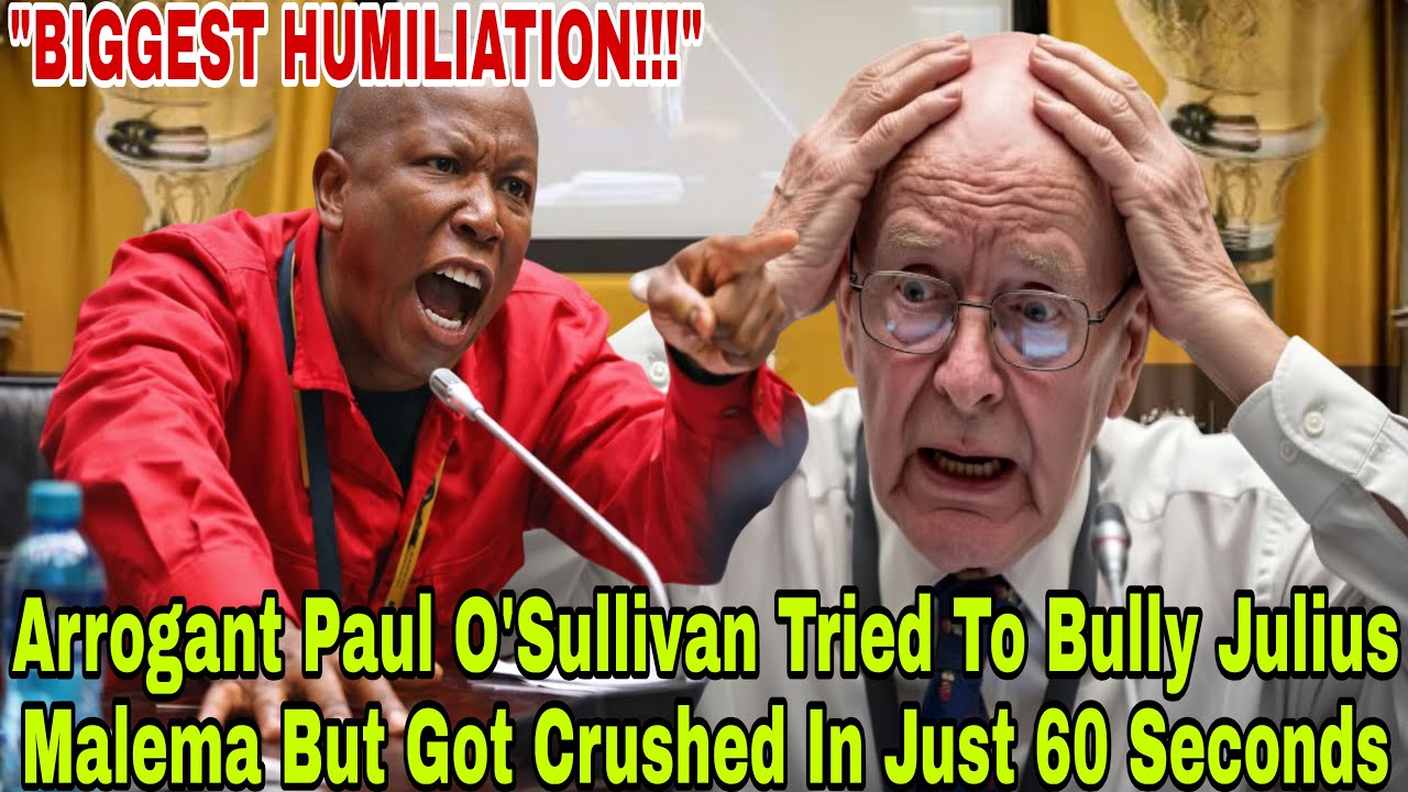 DON'T YOU DARE TRY THAT NONSENSE WITH US - Julius Malema Just Dismantled Paul O'Sullivan Arrogance