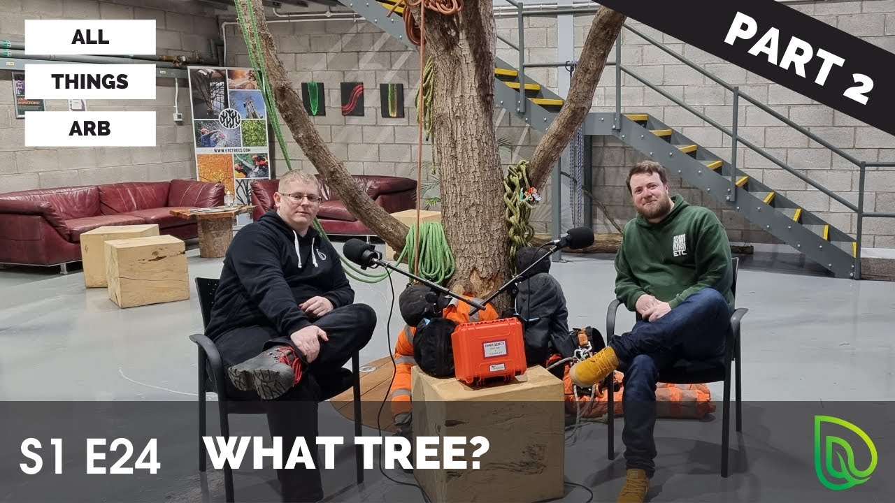 What Tree Part 2? #25 #ALLTHINGSARBPODCAST