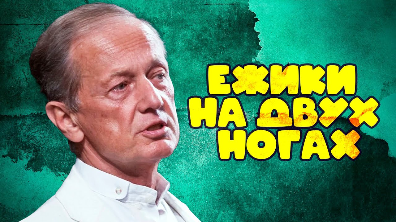 Михаил Задорнов - ЕЖИКИ НА ДВУХ НОГАХ |  Лучшее из юмористических концертов @BestPlayerMusic