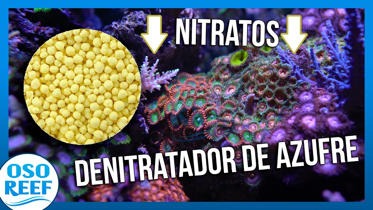 DENITRATADOR de Azufre - Solucion vs nitratos altos