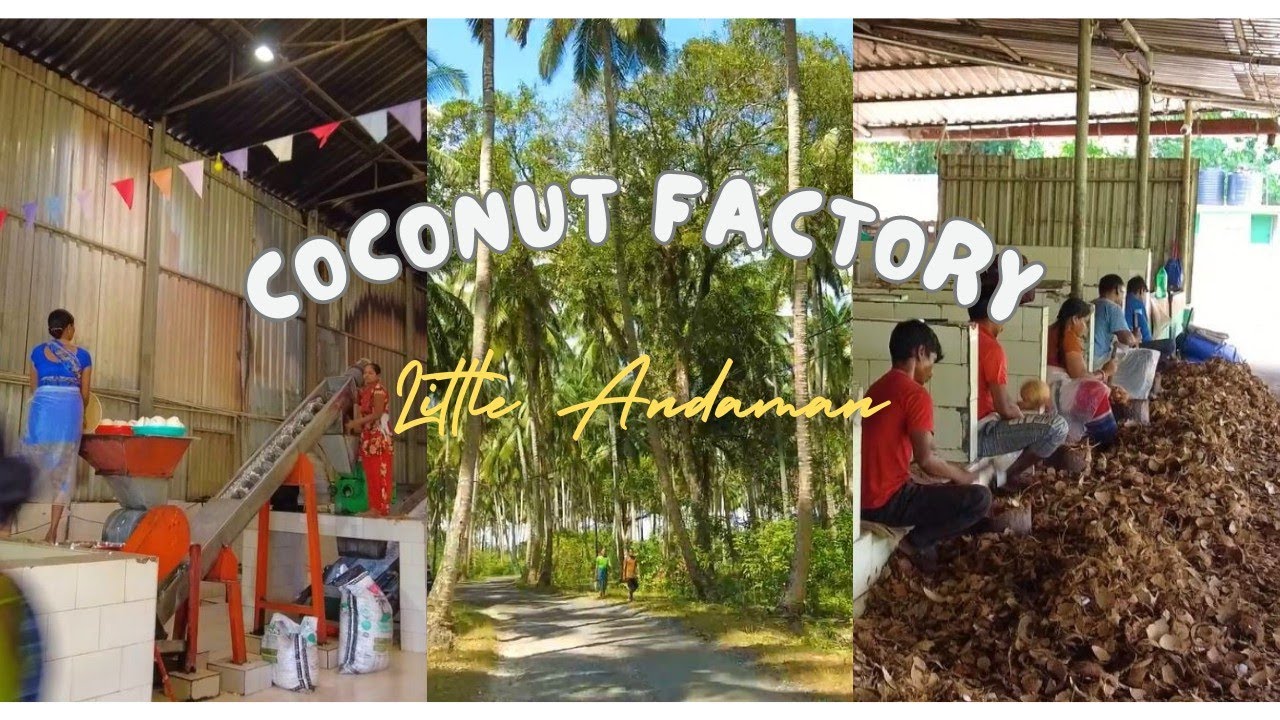 Coconut Factory | Nicobarese Village | Little Andaman | Offbeat Places of Andaman |