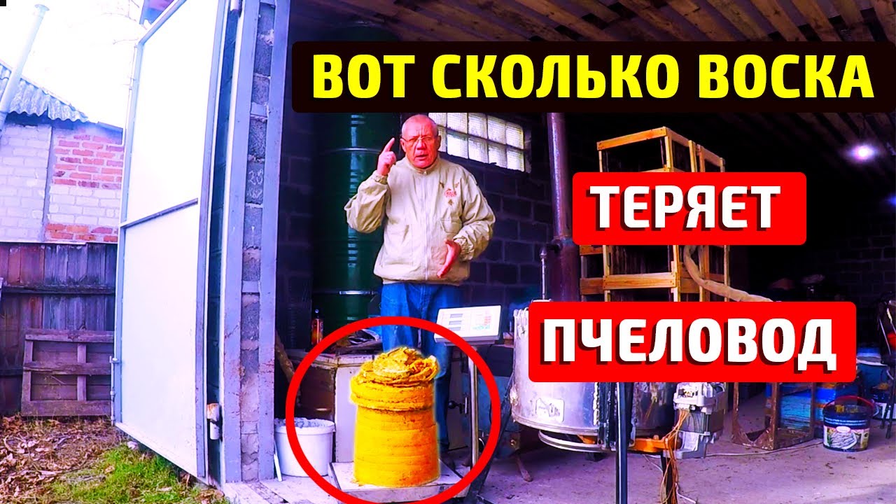 Вы Не Поверите сколько ТЕРЯЕТЕ денег. Переработка Мервы.