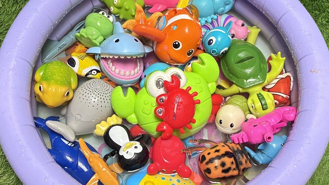 Ocean Animal Fun for Preschoolers | Learn Sea Creature Names, Sounds & Toys for Kids