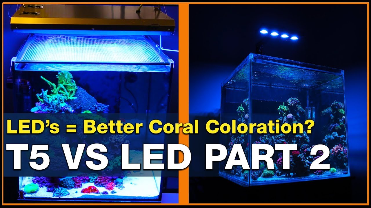 LED vs T5: LEDs can do it better! 3 Ways to Get Better Coral Coloration in Your Reef Tank.