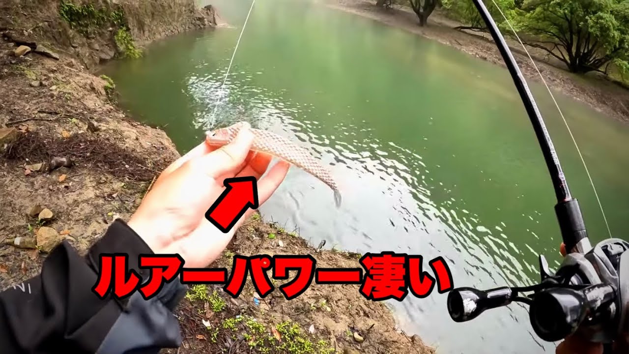 このワーム…凄いとは聞いてたけど…
