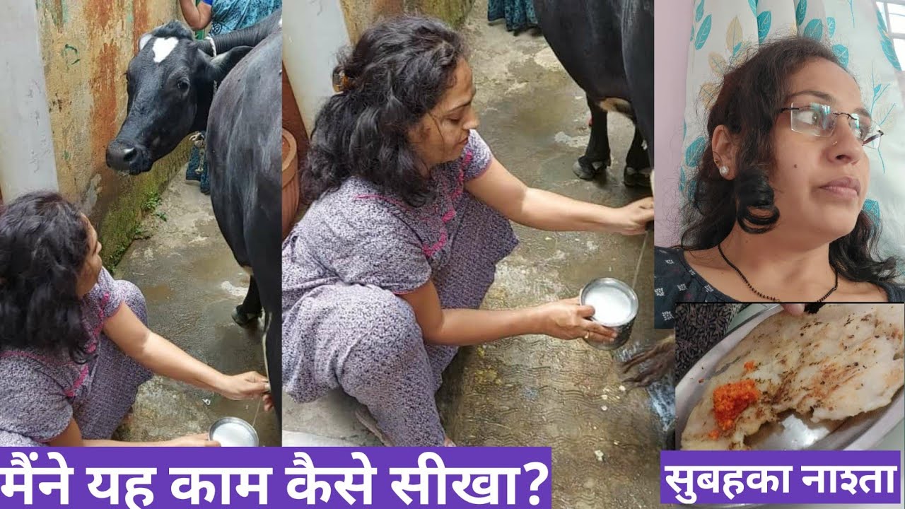 मैंने यह सब काम कब और कहाँ सीखे.. when did I learn Milking cow?