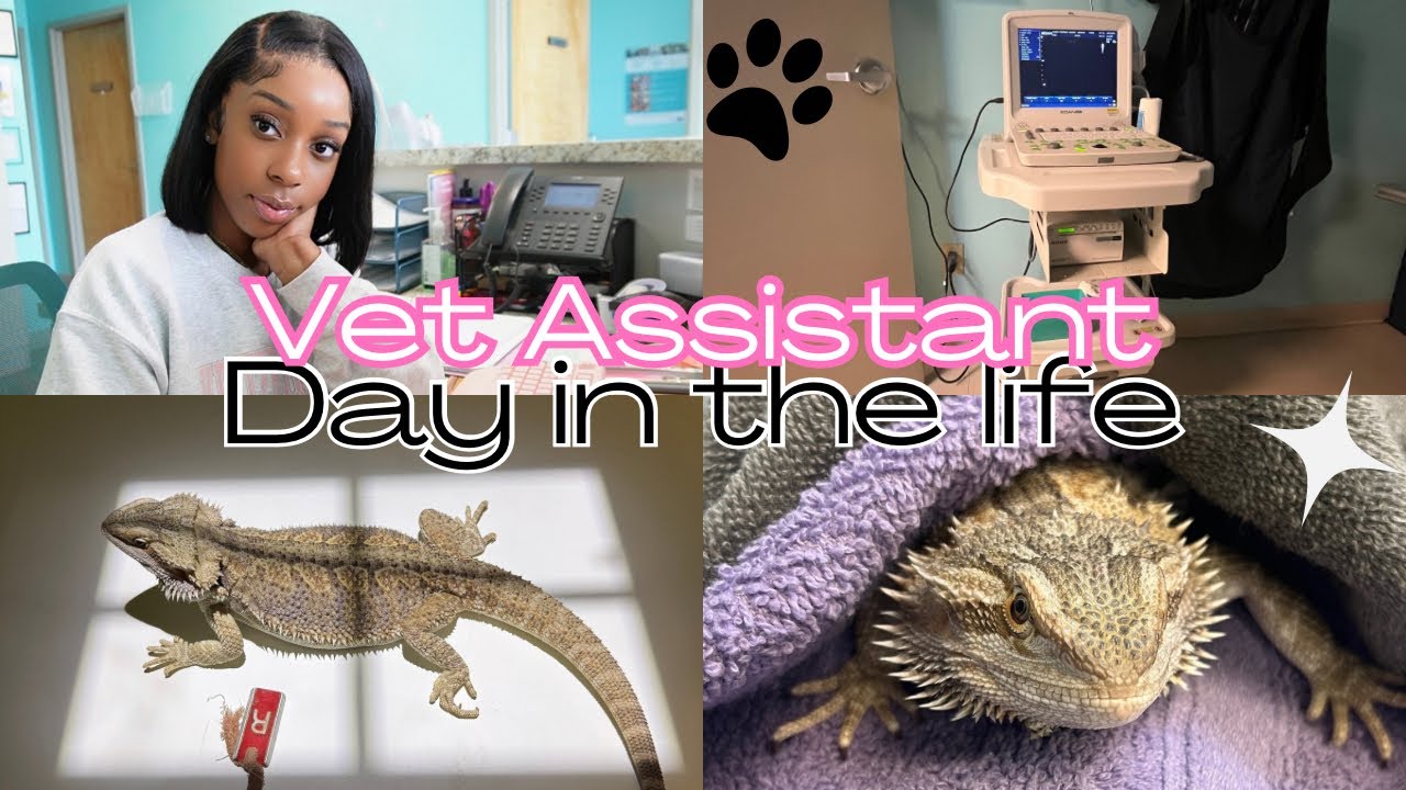 Day in the life | Veterinary Assistant ✨🐾