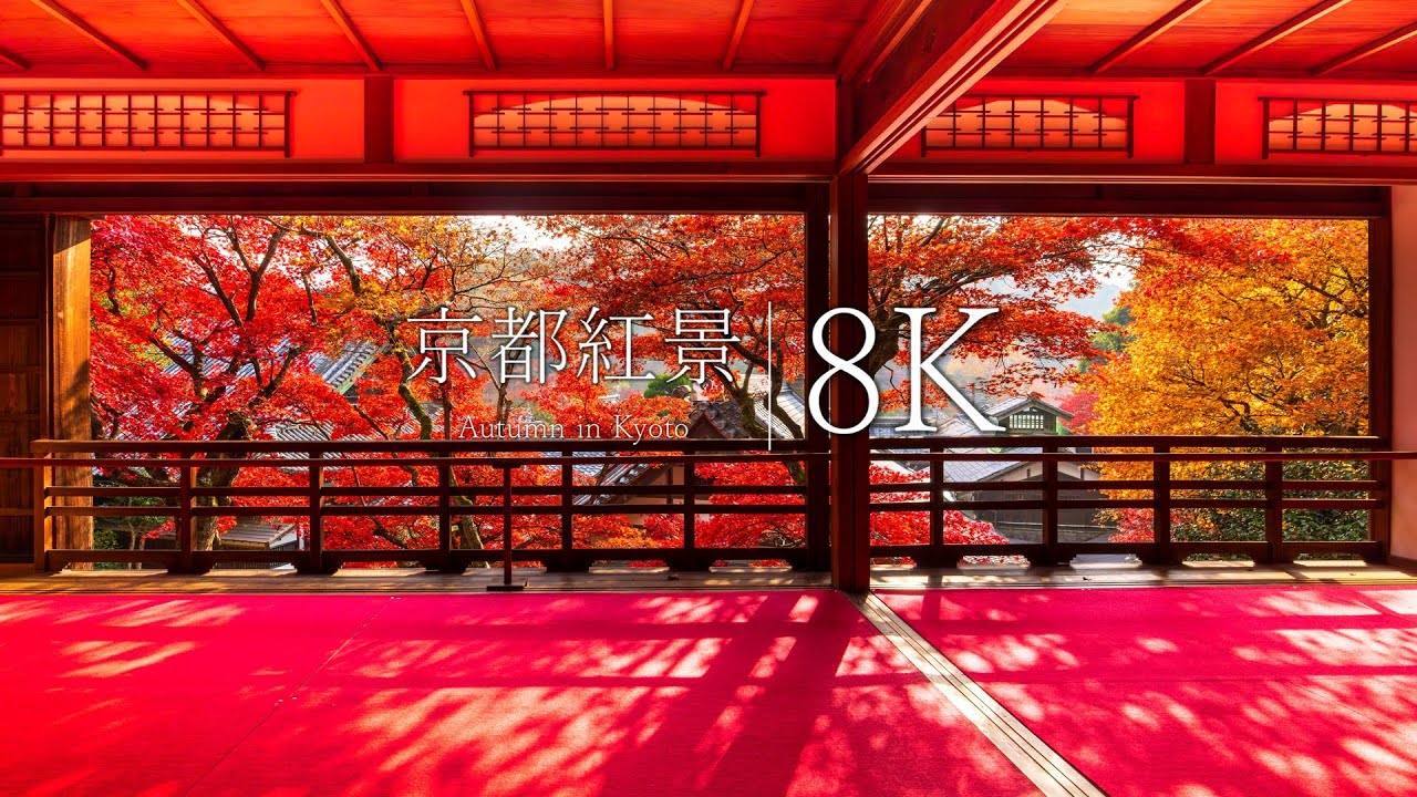 【長岡京編】秋に行きたい京都の紅葉名所５選 - Japan in 8K