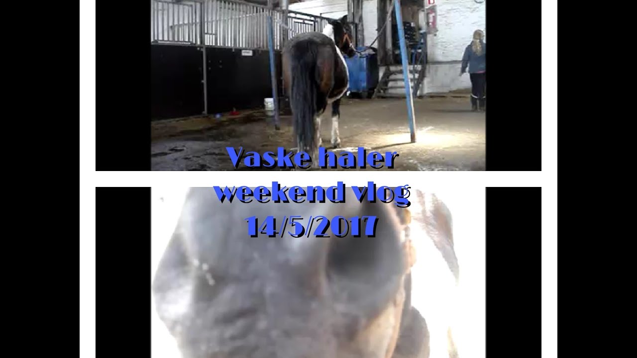 vaske haler weekend vlog 14 5 2017
