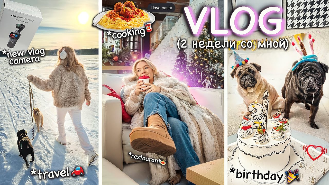 BIG VLOG💞 День Рождение Фуни, мини ПУТЕШЕСТВИЕ, Убираем Елку, DJI Osmo Pocket и Ozon, COOKING 🍝