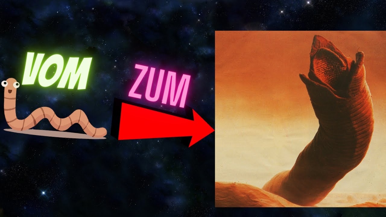 Wie gewinnst du bei Dune Imperium? Tipps und Tricks