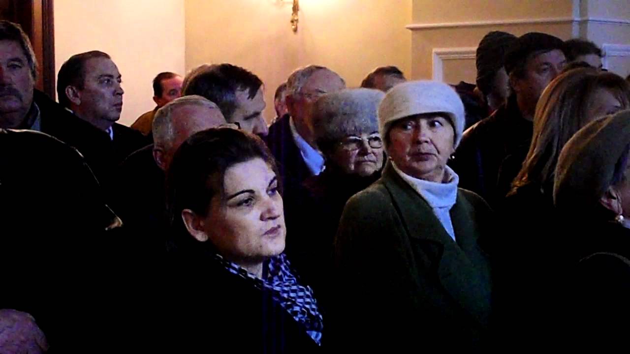 Karolyi Sandor nagykarolyi szobranak avatoja 1
