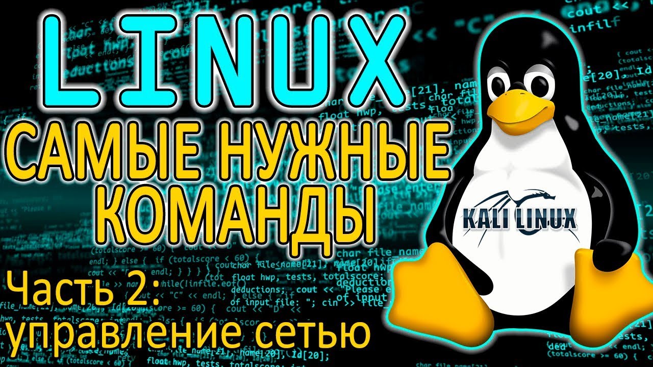 Основы Linux. Как управлять сетью
