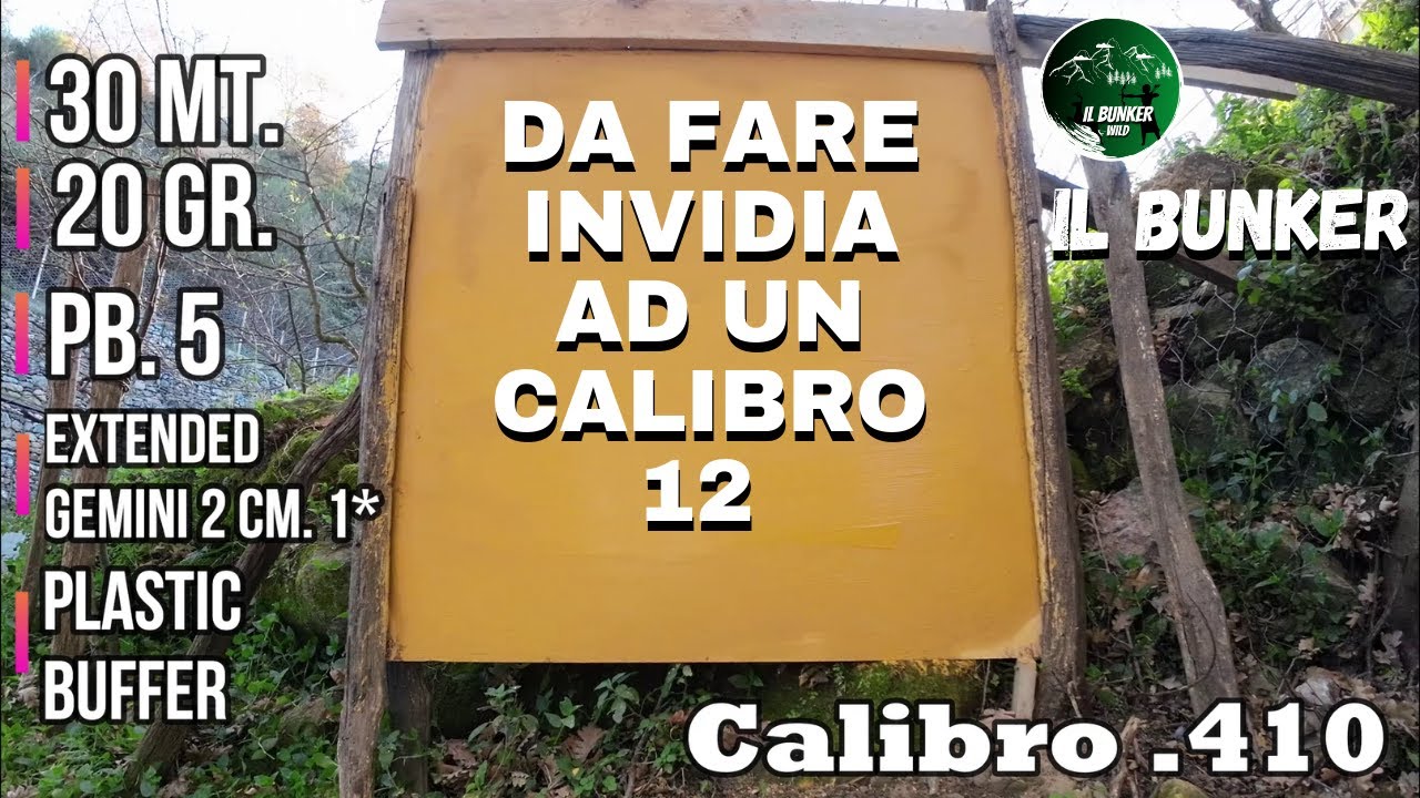 Prova in placca a 30 metri - 20 gr. pb. 5 - Calibro .410