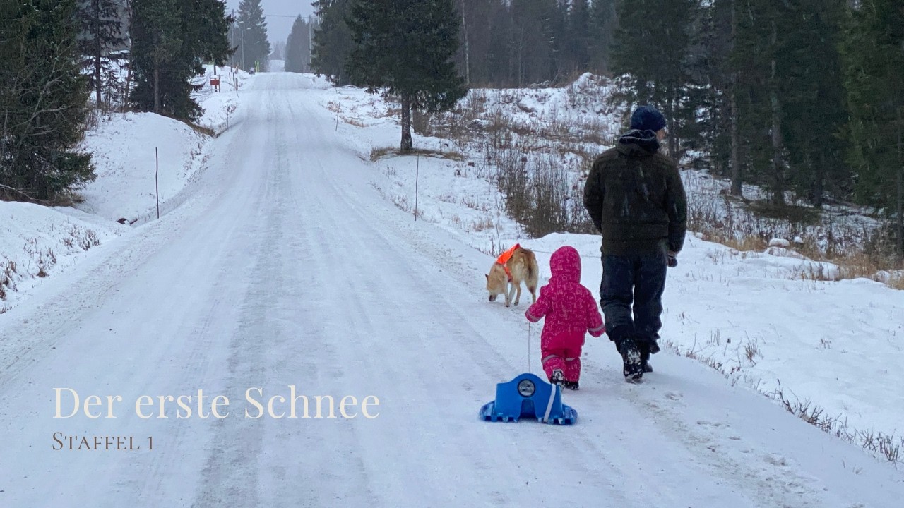 Folge 7 | Winterbeginn in Schweden. Der erste Schnee ist plötzlich da.