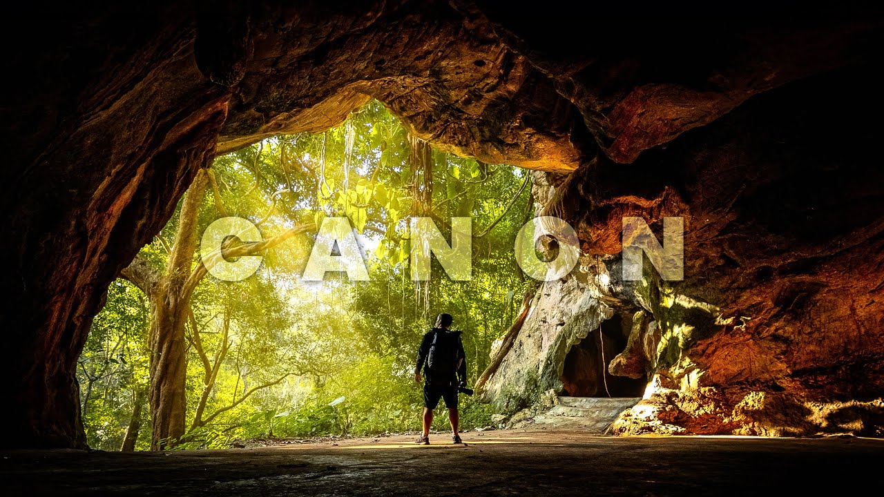 CANON R8, R6 ii & R5 Cinematic Footage | They all look the same