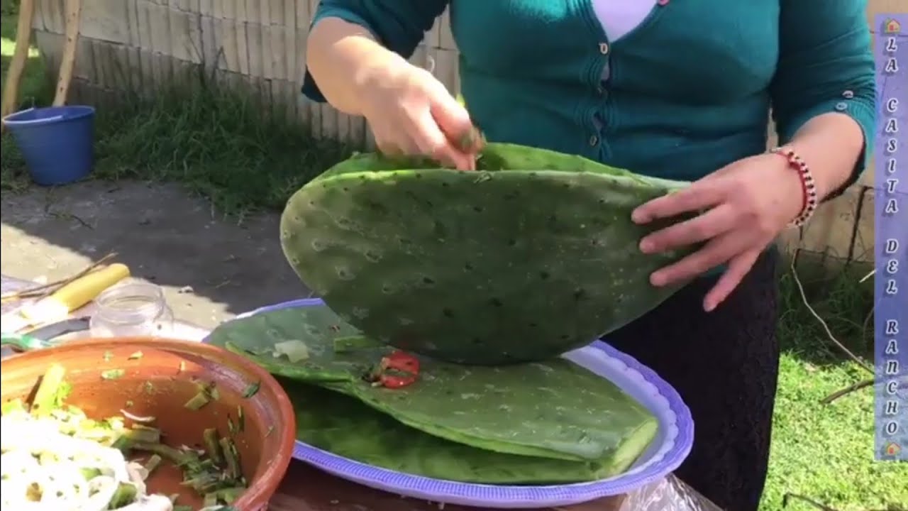 🏡PENCAS DE NOPAL RELLENA RECETA DE MI ABUELA.🏡