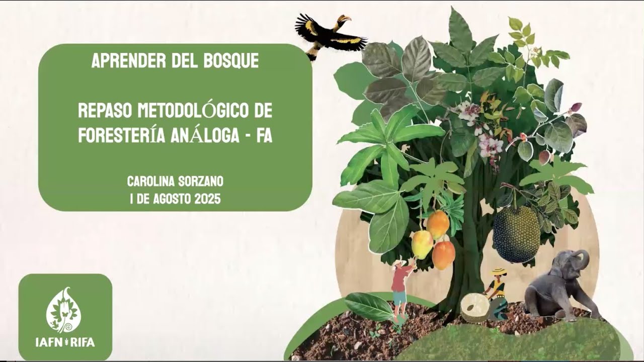Mini taller: Aprender del Bosque: Repaso metodológico de la Forestería Análoga