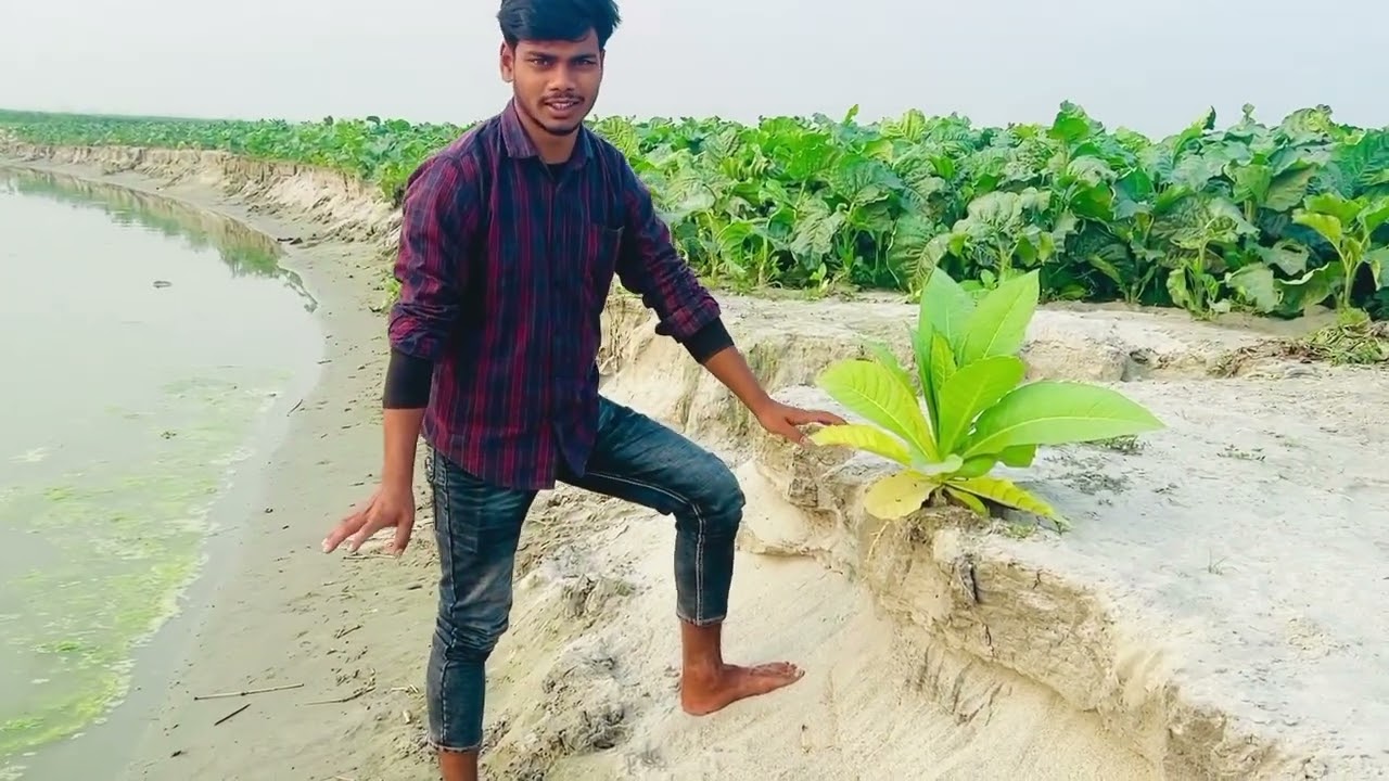 তিস্তা পারে মানুষ নদী ভাঙ্গন নিয়ে অনেক চিন্তায় আছে । তারা দ্রুত তিস্তা মহাপরিকল্পনা বাস্তবায়ন চাই