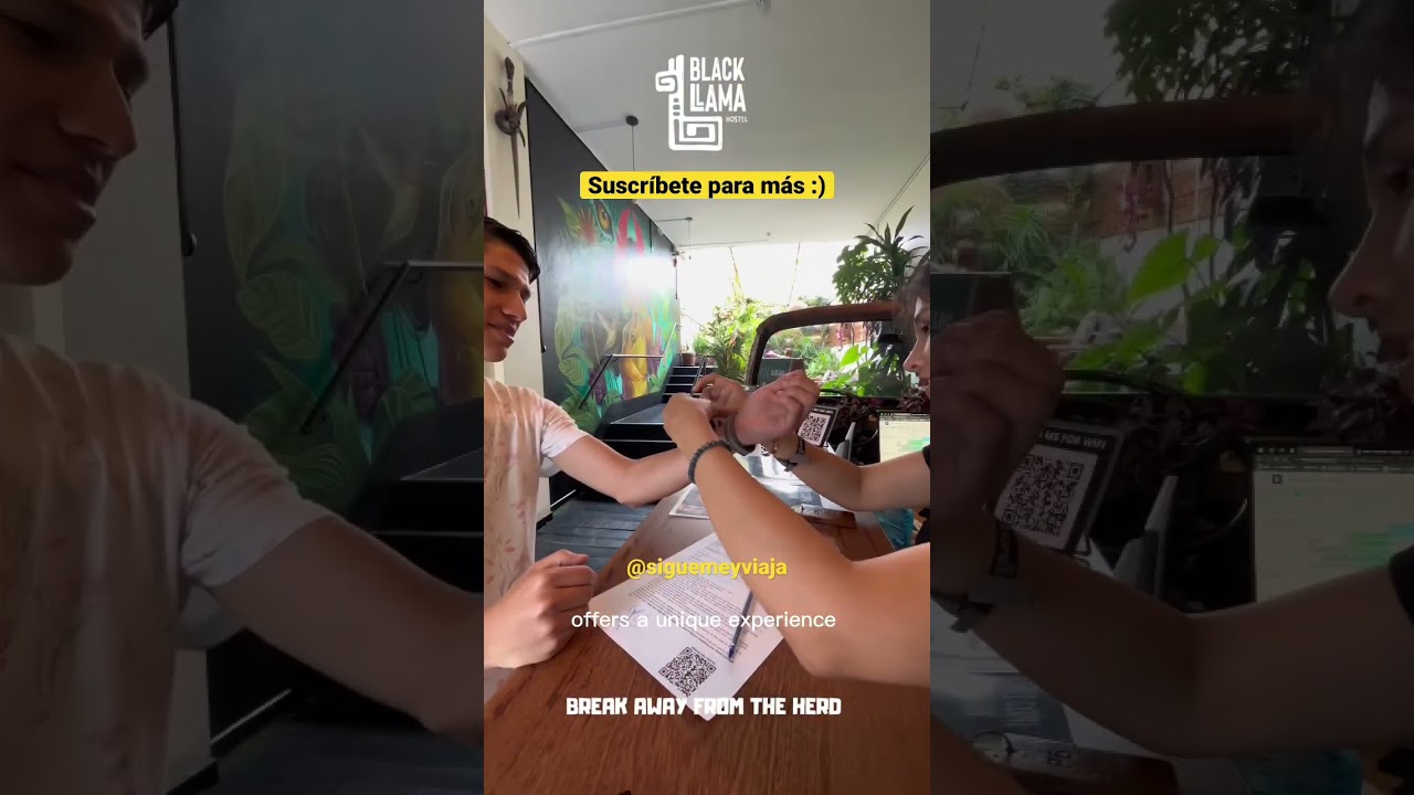 Black Llama 🦙 Hostel en Lima, Per&uacute; 🇵🇪 #shorts #hostels #limaperu #miraflores #peru
