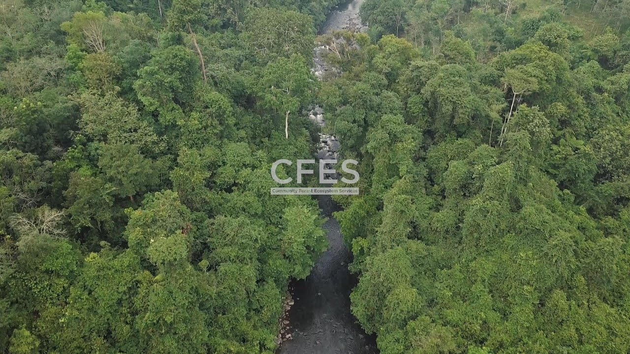 Community Forest Ecosystem Services (CFES)
