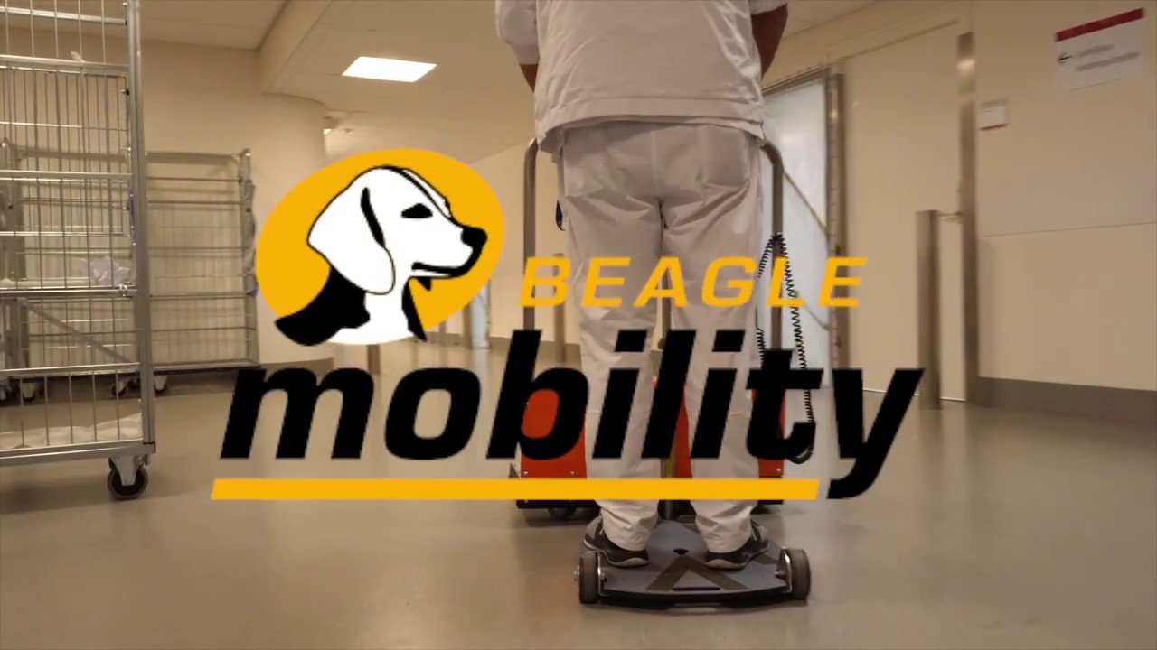 Beagle bedmover met muziek
