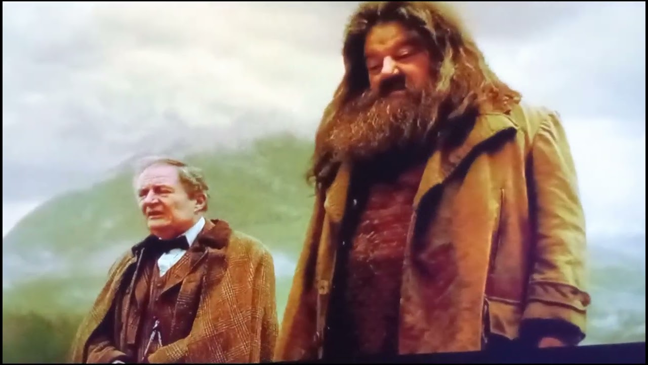 Harry Potter první video omg 