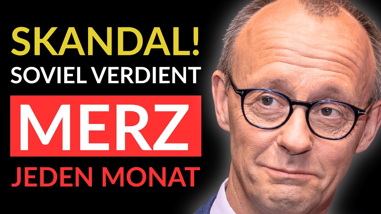 💥ENTHÜLLT! SO VIEL VERDIENT MERZ - AfD DECKT AUF💥