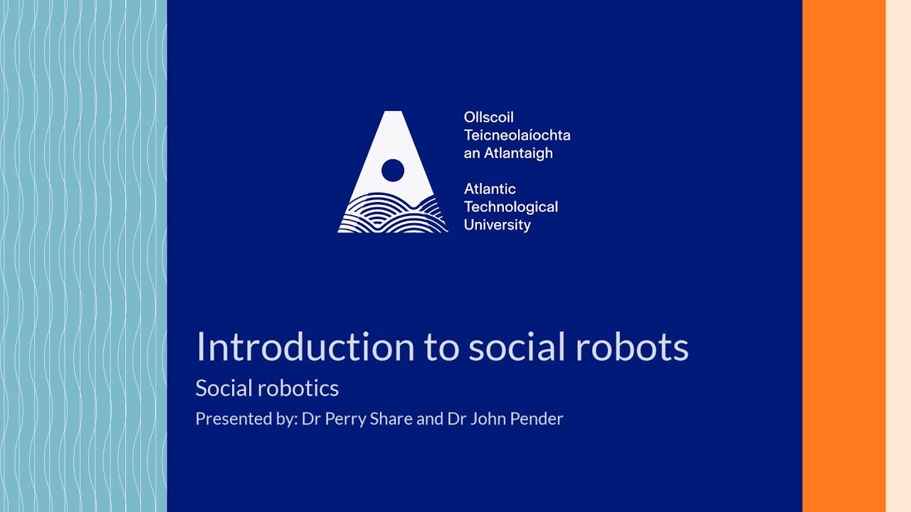 Introduction to social robots