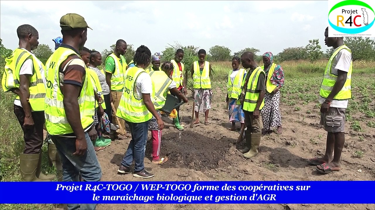 Projet R4C-Togo: WEP-TOGO forme des coopératives de Lilikopé sur l'engrais bio