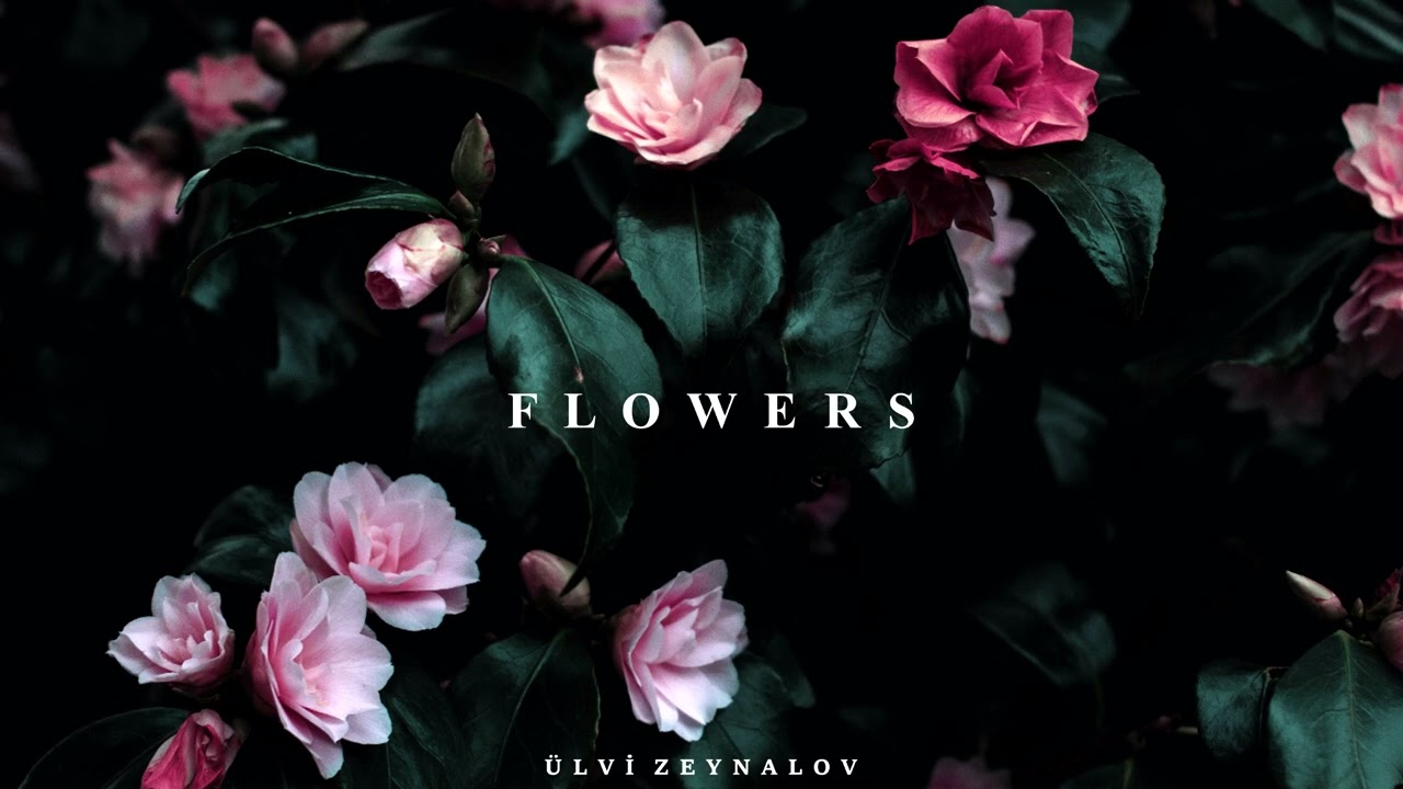 Emotional Relaxing Music 