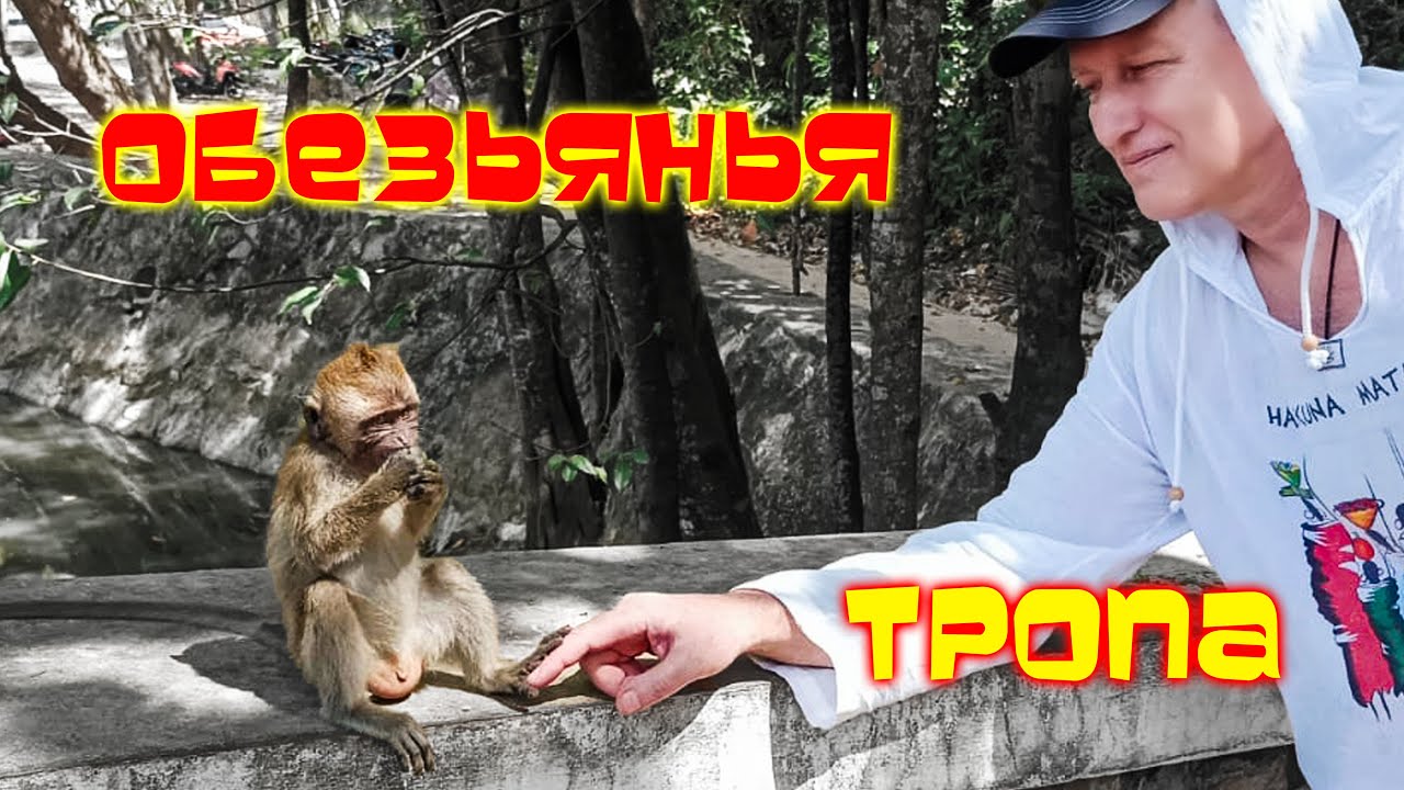 Monkey Trail /Обезьянья тропа /Ао Нанг Краби