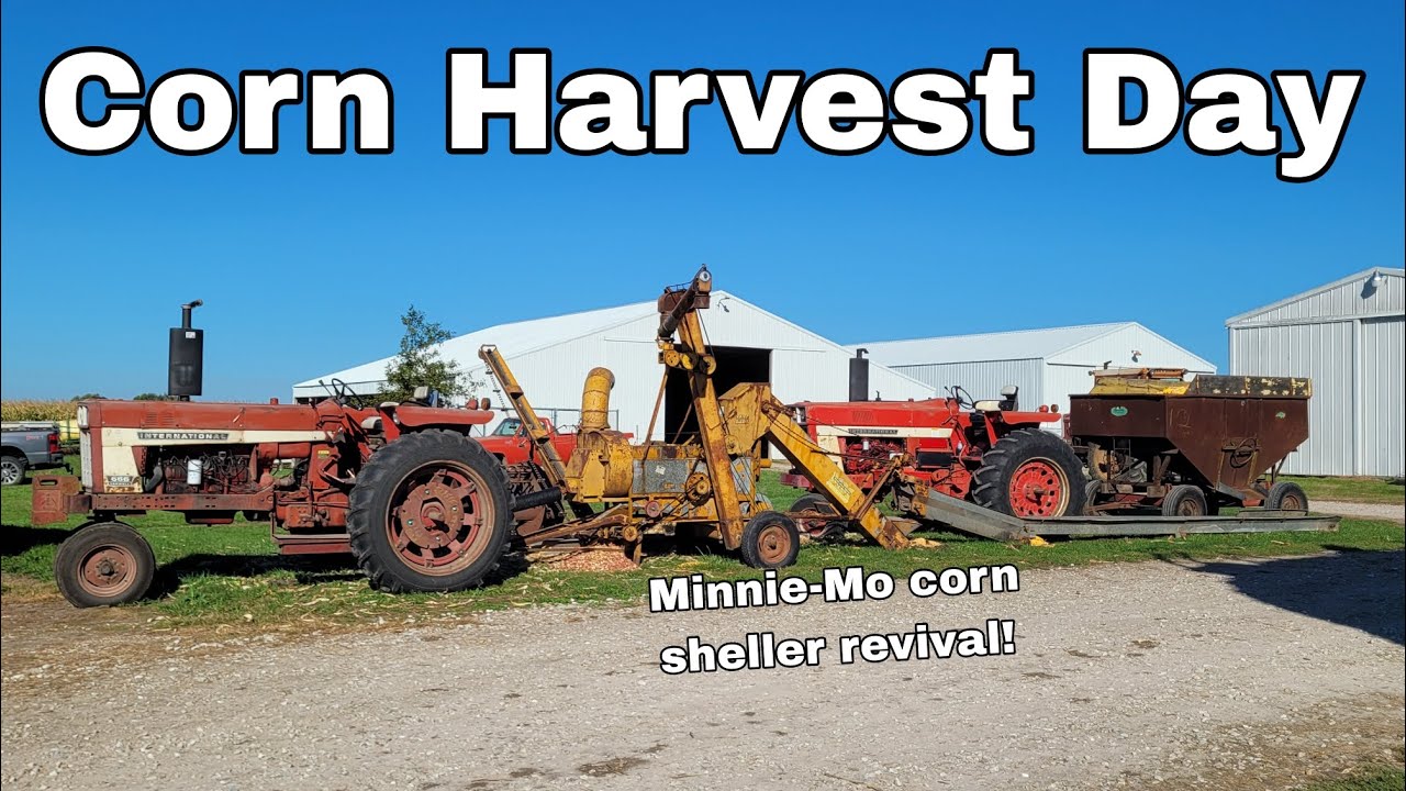 CC&E Farms Corn Harvest Day: Minneapolis Moline Model D Sheller.