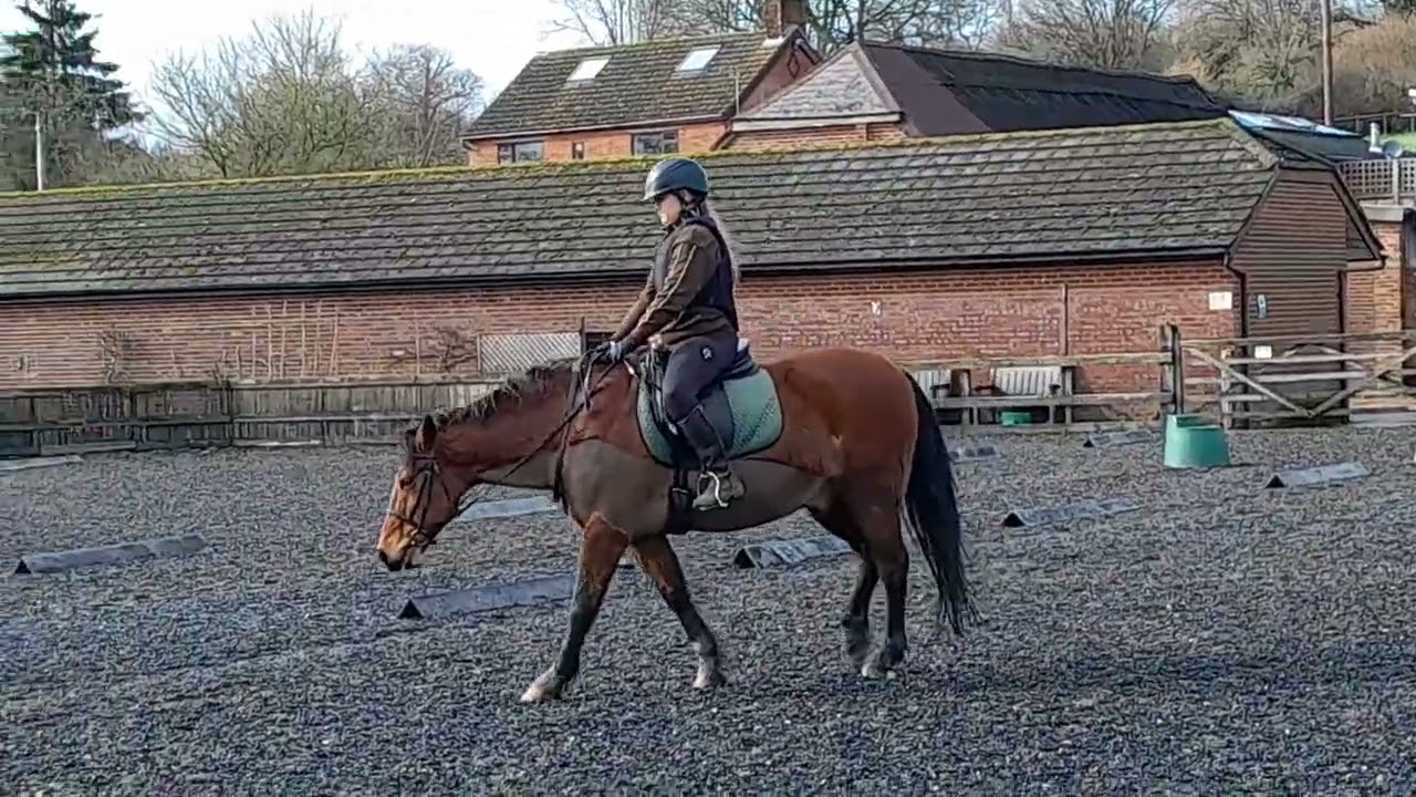 E-Riders Dressage February 2026 - AM -  Main Arena Limited Prelim 2B